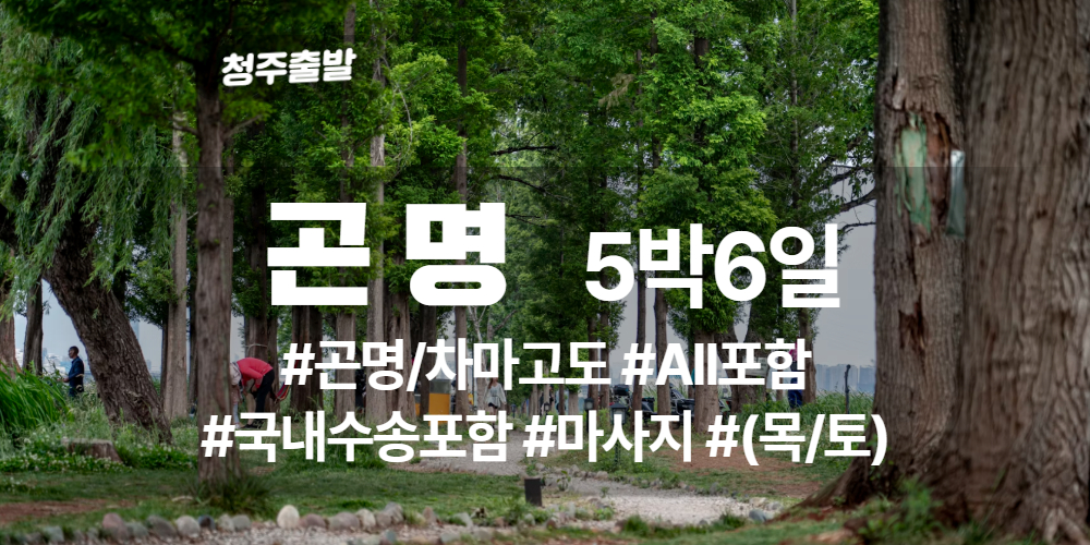 곤명 상품 타이틀 (7).jpg