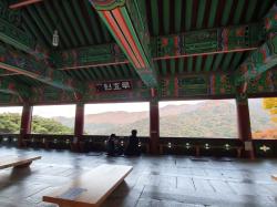 광주 국내  콘텐츠사진800600 28.jpg