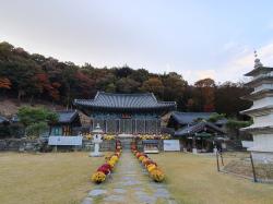 광주 국내  콘텐츠사진800600 29.jpg
