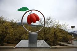 구례 산수유마을 (1).jpg