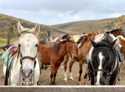 스크린샷 2025-05-20 132800.png