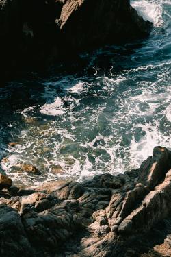 17마일 드라이브2_무료.jpg