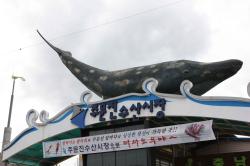 Type1_주문진수산시장_한국관광공사 김지호_vQOSTa.jpg