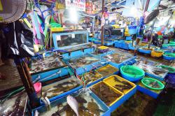 Type1_주문진 수산시장_한국관광공사 김지호_J4GQ9a.jpg