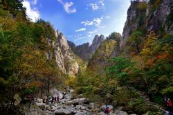 Type1_아름다운 설악_조칠훈_xlNtpa.jpg