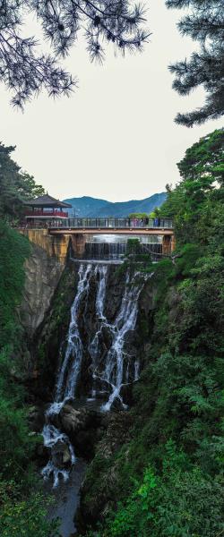 Type1_제천 의림지와 제림_박장용_rbyxbF.jpg