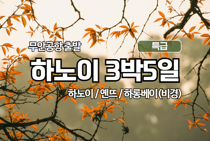 하노이 상품 타이틀 700_470 (1).jpg
