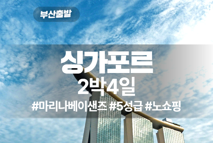 싱가포르 상품 타이틀 (4).jpg
