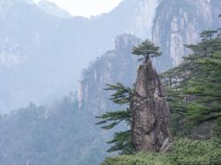 황산 콘텐츠사진800_600 (8).jpg