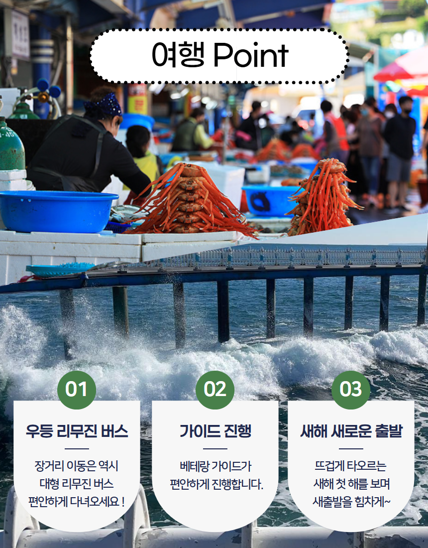 2026 정동진 해맞이 2