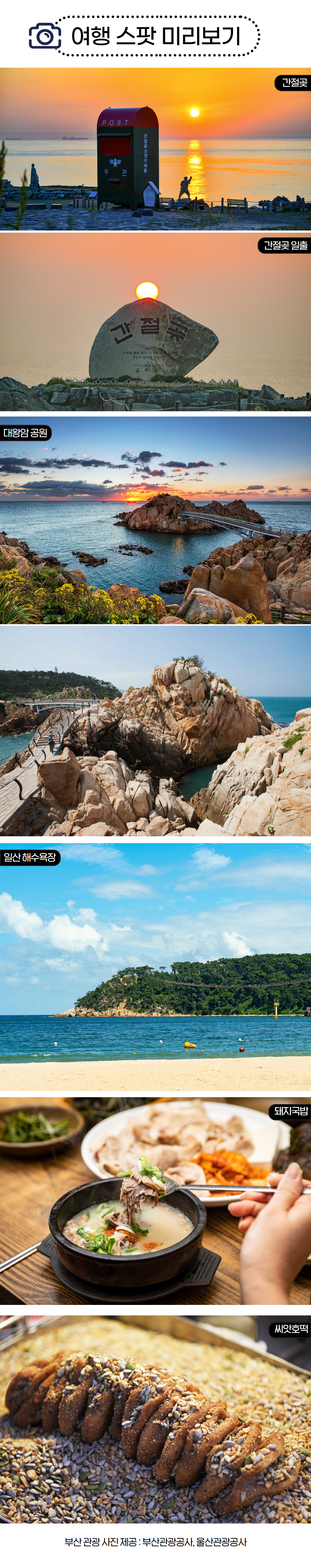 2026 간절곶 해맞이 10